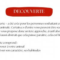 DECOUVERTE