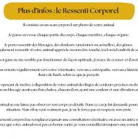 RESSENTI CORPOREL