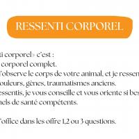 RESSENTI CORPOREL