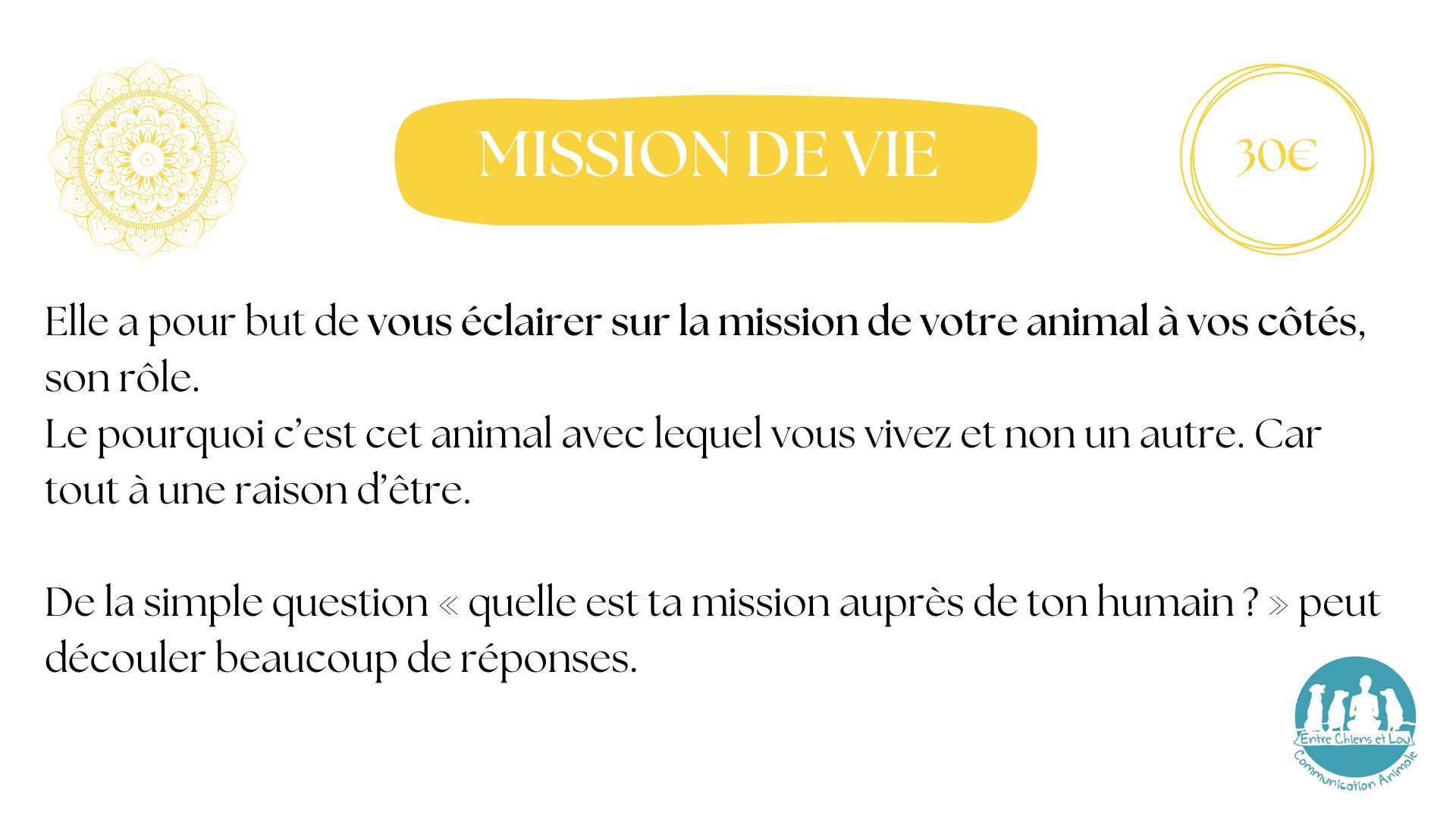 MISSION DE VIE