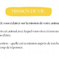 MISSION DE VIE