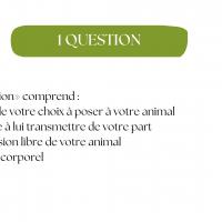 1 QUESTION