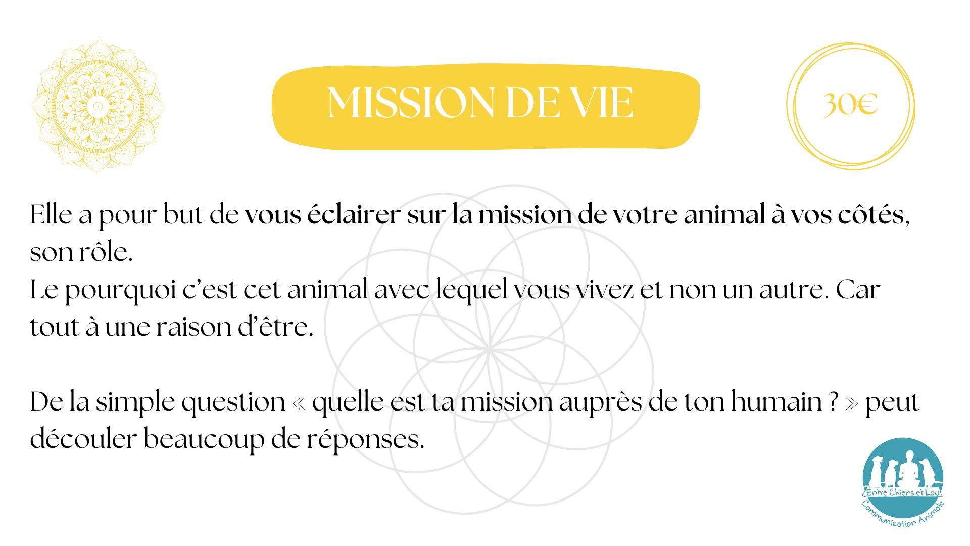 MISSION DE VIE