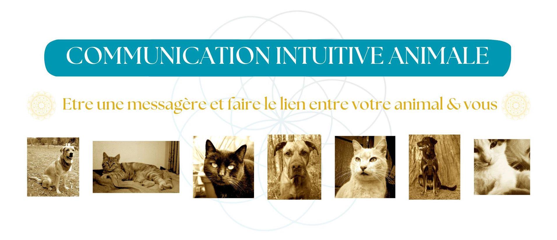 COMMUNICATION INTUITIVE ANIMALE